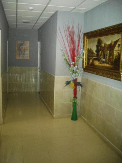 Hostal Ds Velilla de San Antonio Kültér fotó